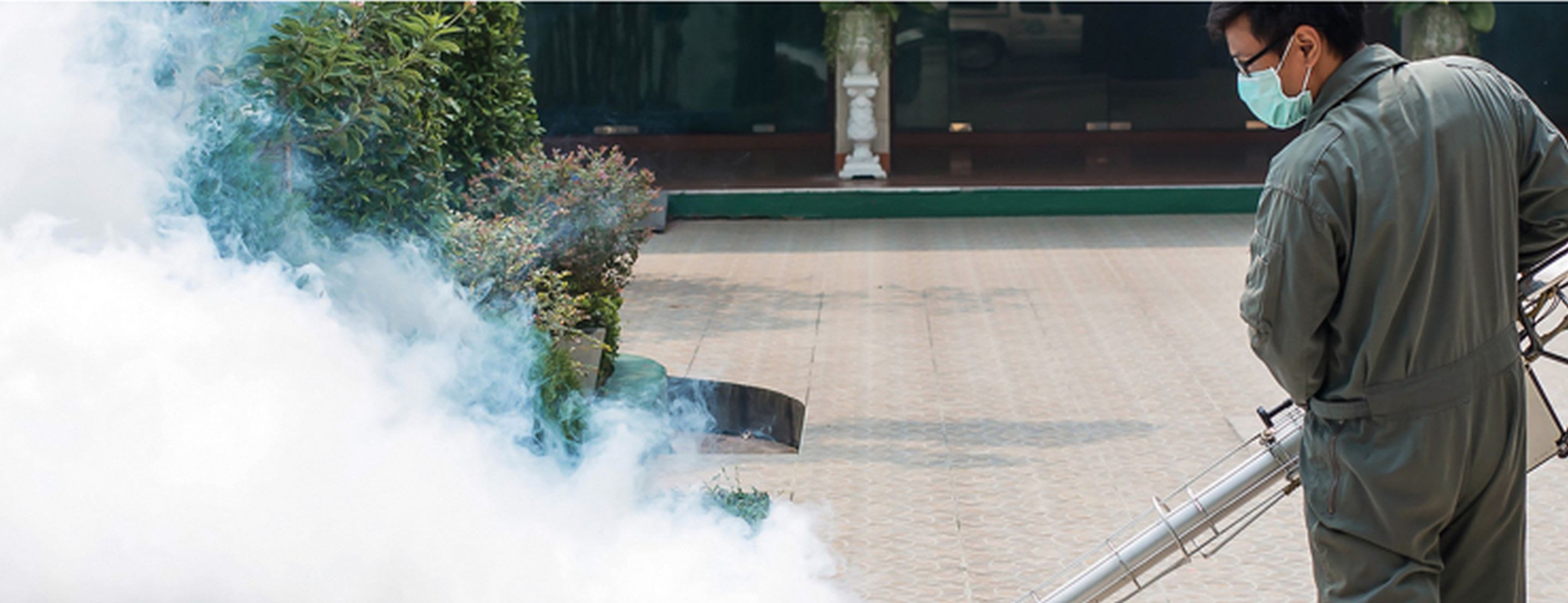 Best GA Mosquito Control Services Company Near Me