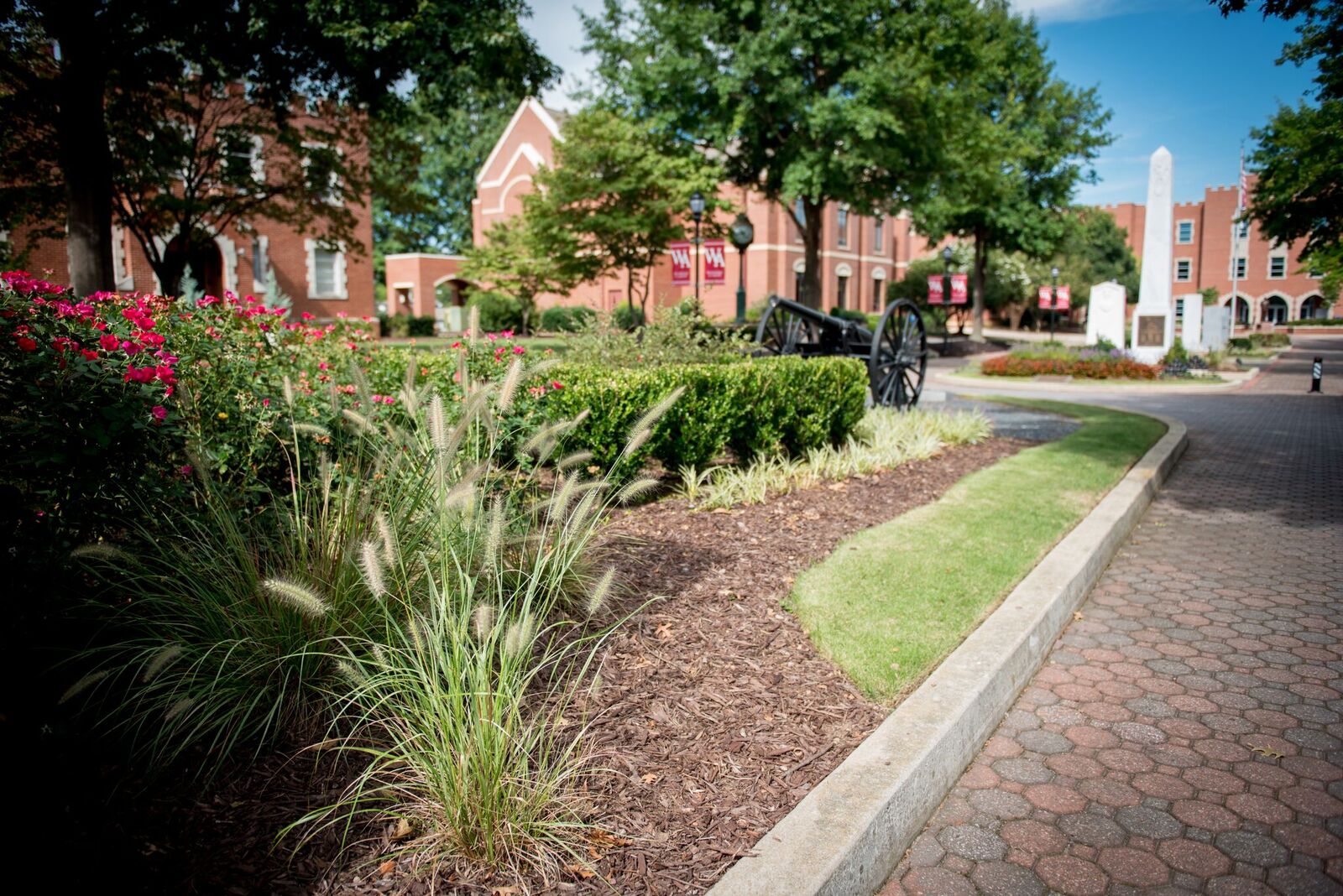 Keep your commercial landscaping healthy
