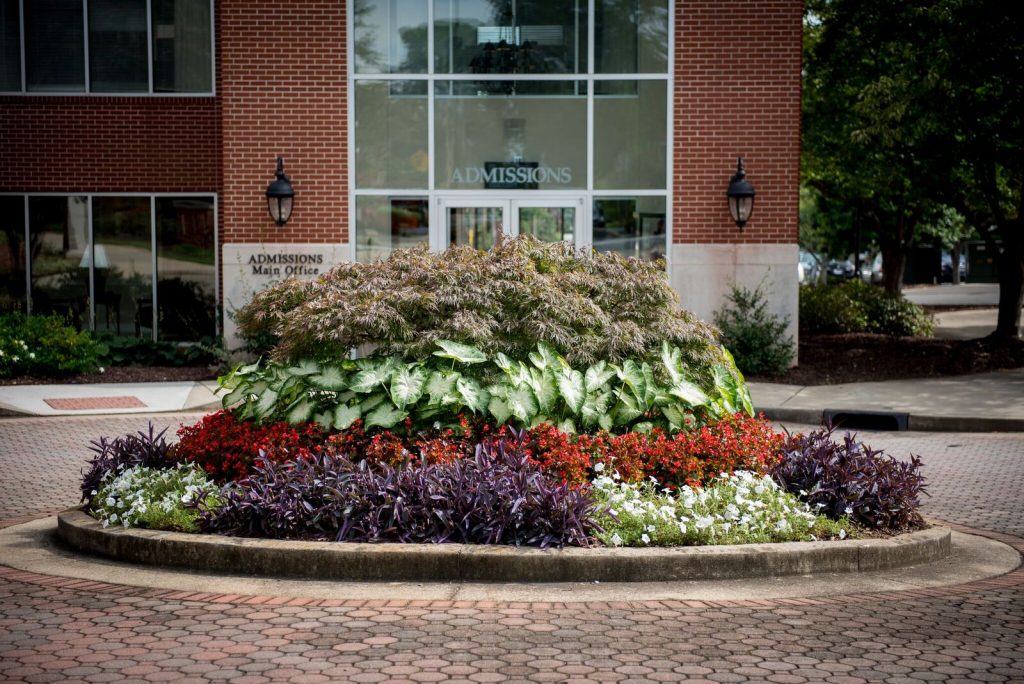 woodward academy 20173 Great Estates