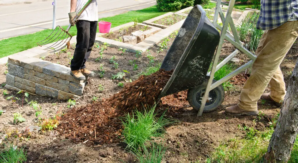 Landscape Projects For Spring - Image of two people doing mulching in spring to enhance hardscape and landscaping around flower beds.