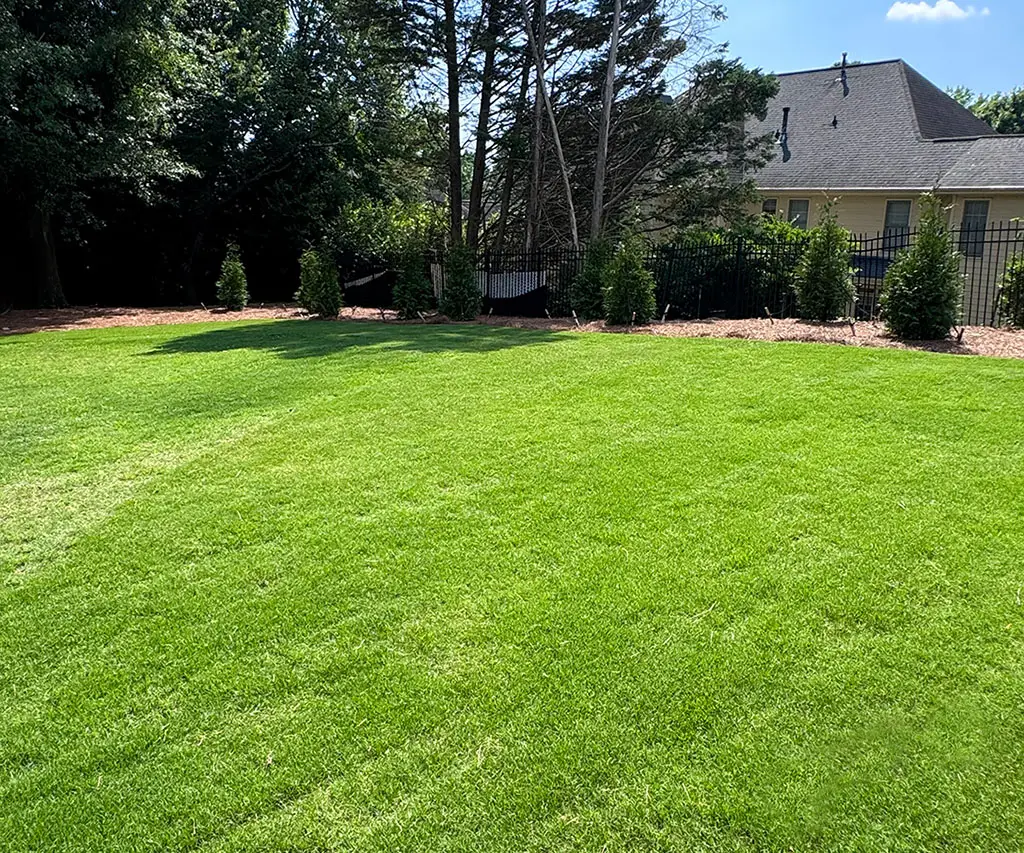 Keep Lawn Green In Georgia - Image of Ga Lawn Lush and Green in Covington, GA