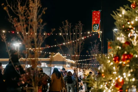 Christmas-Decor-Commercial-05