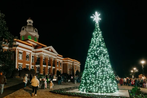 Christmas-Decor-Commercial-06